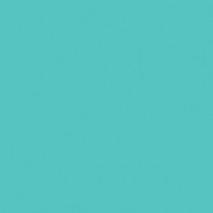 Meet your Posher, Sofia